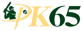 bdpk65.com Logo